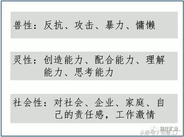 2025今晚必出三肖与2025澳门特马网站www,词语释义、解释和落实和警惕虚假宣传-全面释义、解释和落实